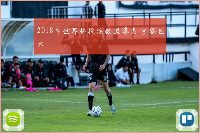 2018年世界杯投注数据曝光 金额巨大