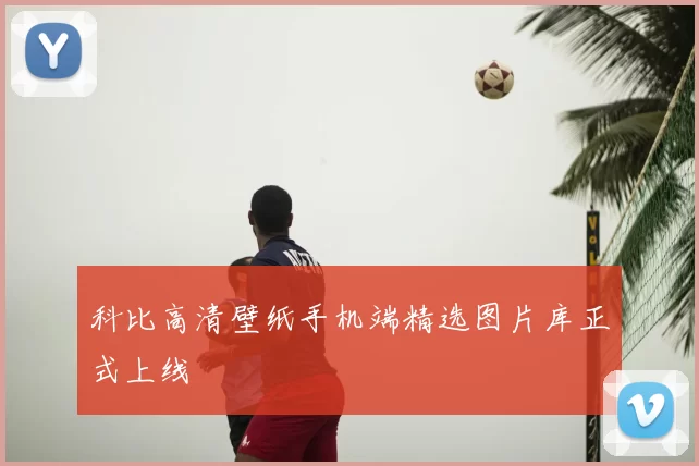 科比高清壁纸手机端精选图片库正式上线